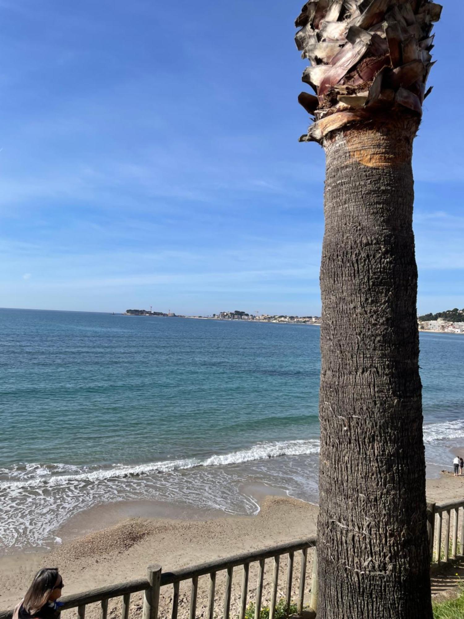 Studio Climatise Piscine Et Proche Plage Sanary-sur-Mer Extérieur photo